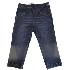 Anthropologie Pilcro & the Letterpress High-Rise Crop Denim Leggings Sz 28 EUC